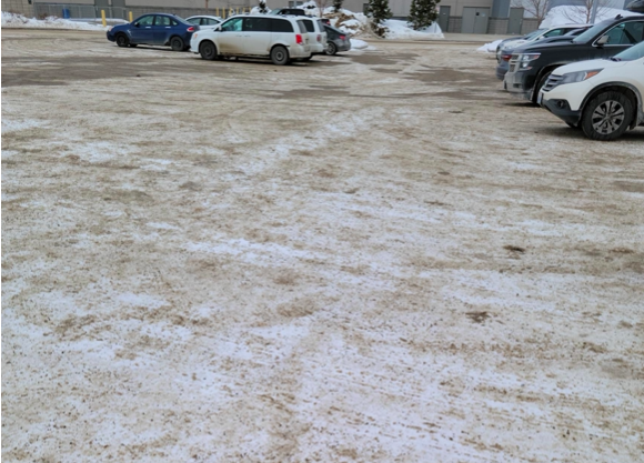 Yuck! Parking Lot Disaster